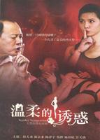 日剧《我会很温柔的》在线观看