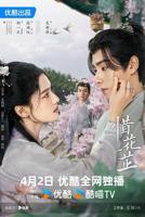 《惜花芷》电视剧全集在线观看_免费播放