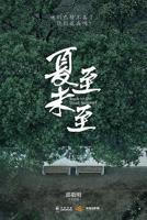 夏至未至电视剧免费观看完整版