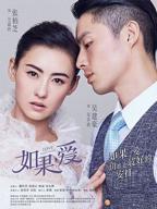 张柏芝版《如果爱》电视剧在线观看全集免费播放