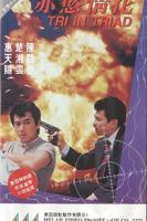 动作片电影《赤欲情花》免费在线观看-《赤欲情花》电影完整版